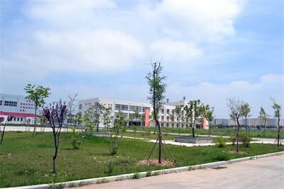 Qingdao ZFC Trading Co.,Ltd