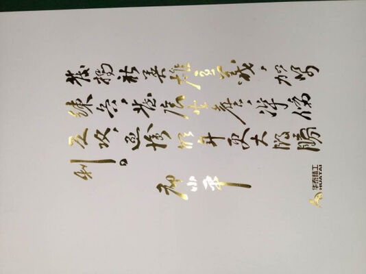 Die Cutting and Foil Stamping Machine,Automatic Die cutter with creasing and Foil Stamping HT1050T